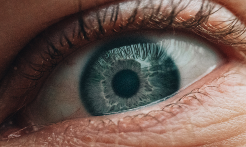 سلامت چشم و بینایی: راهکارها و توصیه‌ها برای حفظ و بهبود بینایی