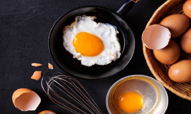 چرا باید روزانه یک تخم مرغ بخوریم + دلایل علمی